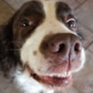 Meet your Posher, Cedric